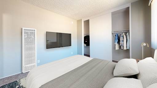 A bedroom with a bed, a TV, and a closet.
