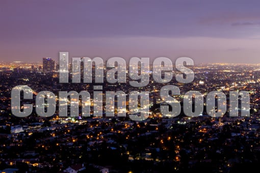 the city at night with the words