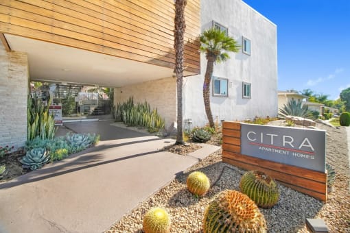 the entrance to cimarron apartment homes with cactus and other plants