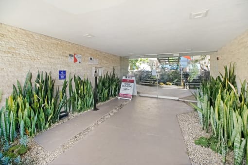 the entrance to a building with plants in front of it