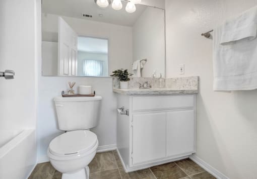a bathroom with a toilet and a sink and a mirror