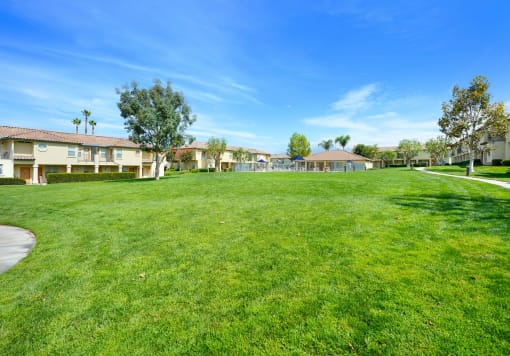 the preserve at ballantyne commons grass courtyard with houses