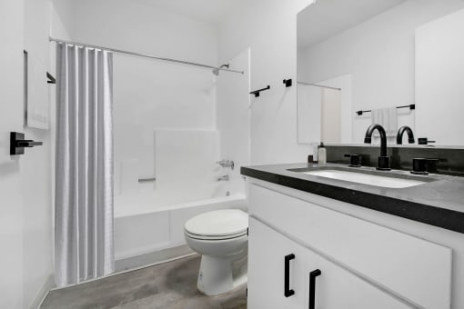 a bathroom with a sink and a toilet and a shower