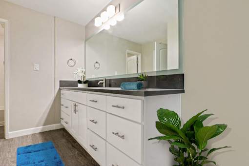 Single long gray countertops vanity  with mirror track lighting