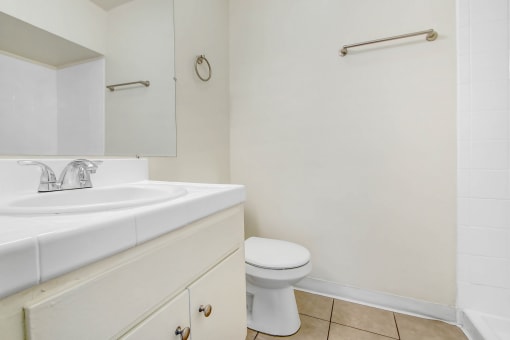 a bathroom with a sink and a toilet and a mirror