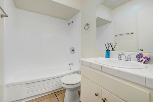 a bathroom with a sink toilet and a bath tub