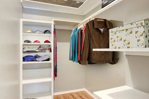 Spacious walk-in closet with wood-style floors