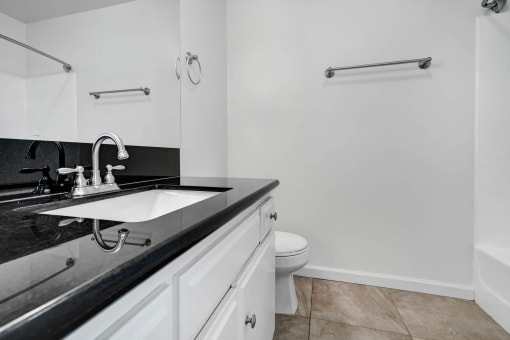 a bathroom with a sink and a toilet