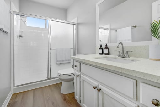 a bathroom with a sink and a shower and a toilet
