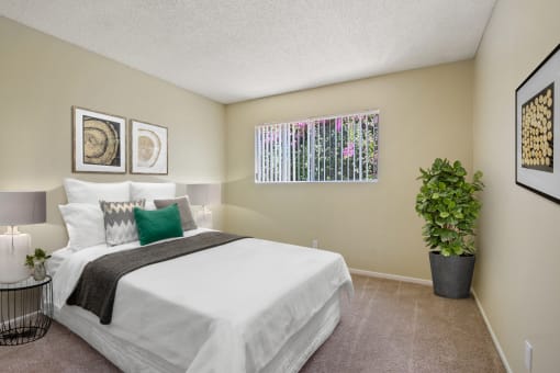 Bedroom with carpeted floors