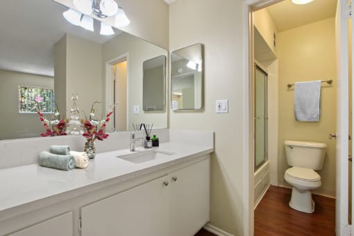 Single vanity area, Bathroom with shower hot tub combo on the right