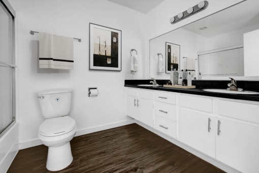 a bathroom with a toilet and a sink and a mirror