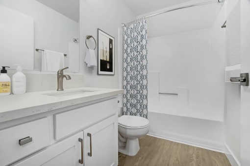 a bathroom with a sink and a toilet and a shower