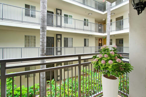 a building with a balcony and a potted plant