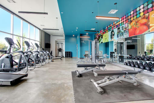 GYM