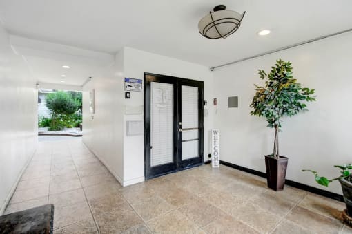 a lobby with a plant and a glass door