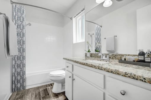 a bathroom with a sink and a toilet and a shower