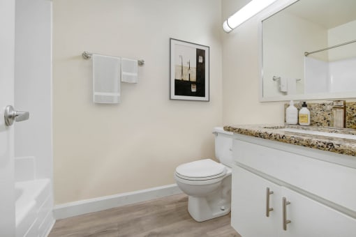 a bathroom with a toilet and a sink and a mirror