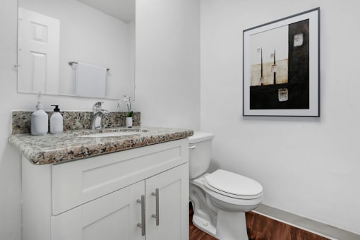 a bathroom with a sink and a toilet