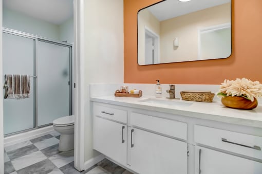 a bathroom with a mirror and a toilet and a shower