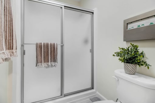 a bathroom with a shower and a toilet and a plant