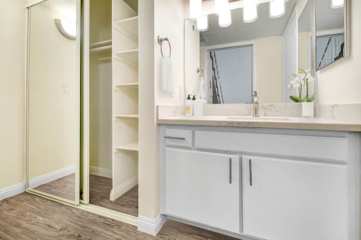 a bathroom with a sink and a mirror and a shower