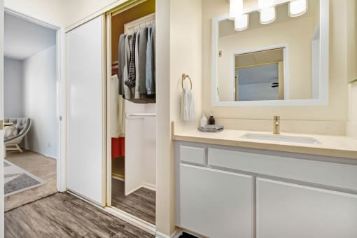 a bathroom with a sink and a mirror and a shower