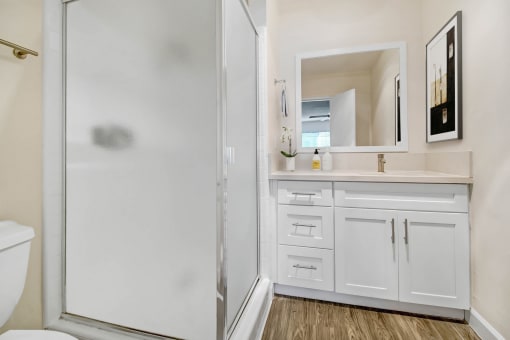 a bathroom with a shower and a sink and a mirror