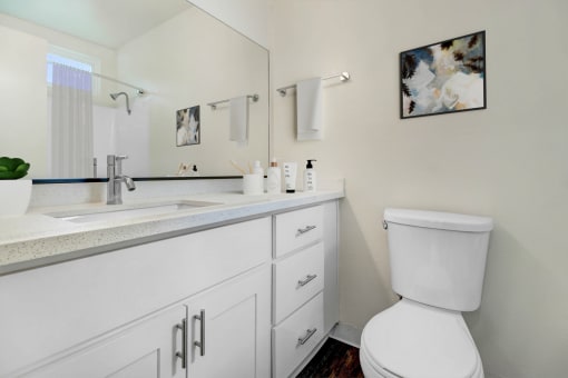 a bathroom with a toilet and a sink and a mirror