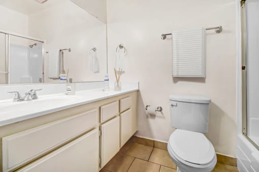a bathroom with a toilet and a sink and a mirror