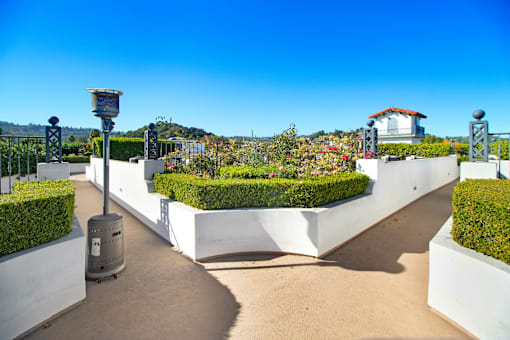 a view of a garden with hedges and a white fence and a blue sky