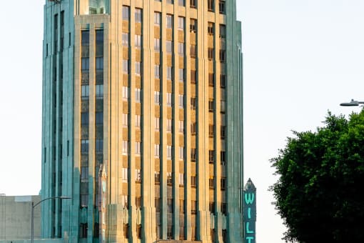a tall building with a tree in front of it