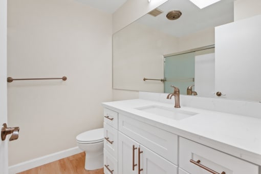 a bathroom with a sink and a toilet