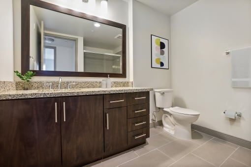 a bathroom with a large mirror and a toilet