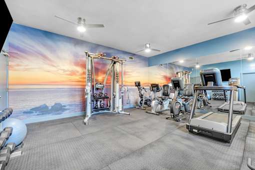 A gym with a sunset mural on the wall.