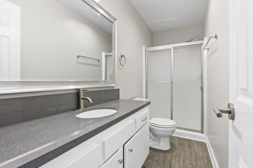 a bathroom with a sink and a shower and a toilet