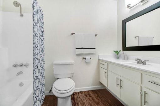a bathroom with a toilet and a sink and a mirror