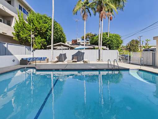 A swimming pool surrounded by palm trees and a white fence.