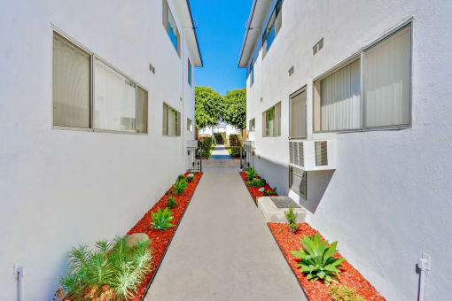 Hallway courtyard with drought landscaping