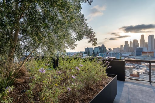 a view of the city skyline from a rooftop terrace
