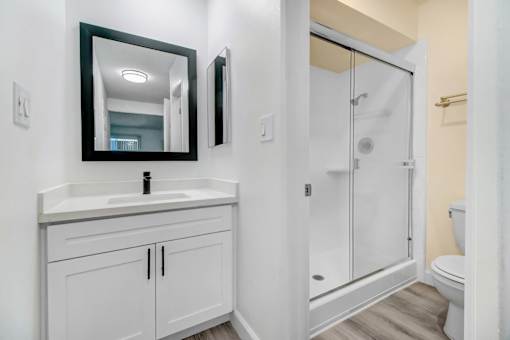A bathroom with a sink, mirror, and shower.