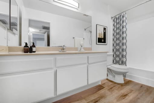 a bathroom with a toilet and a sink and a mirror