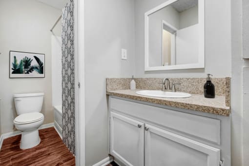 a bathroom with a sink and a toilet and a mirror