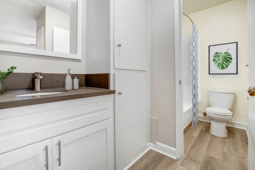a bathroom with a sink and a toilet