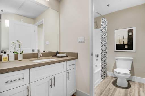 A bathroom with a white toilet and a sink with a mirror above it.