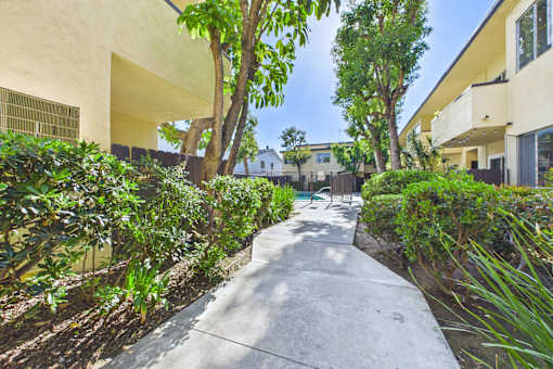 A concrete pathway leads through a residential area with trees and bushes on either side.