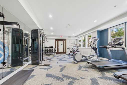 A gym with a variety of equipment including treadmills, exercise bikes, and weight racks.