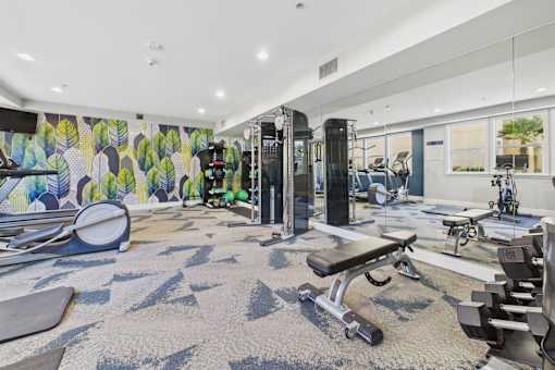 A gym with a variety of equipment including treadmills, weights, and exercise machines.
