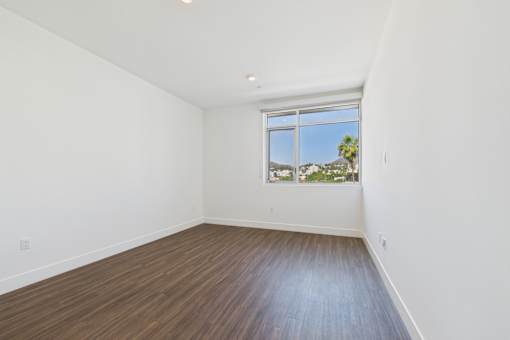 A room with a window overlooking a palm tree.