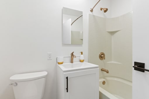 a bathroom with a sink and a toilet and a shower